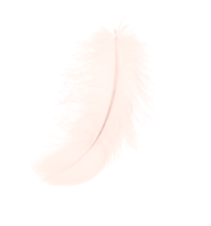 перо